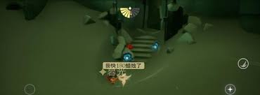 光遇高效打蟹全攻略：轻松解锁隐藏成就