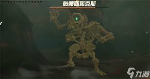 如何让沙恩诺克斯和诺克斯顺利登场？