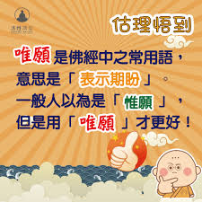 惟愿与唯愿：区别何在？