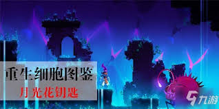 重生细胞游戏攻略：月光花钥匙精确坐标位置