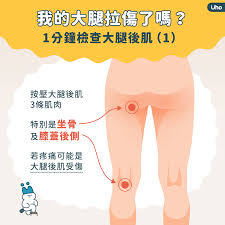 大腿网是个什么网站