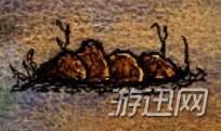 一小时人生游戏攻略：高效获取海豹皮方法详解