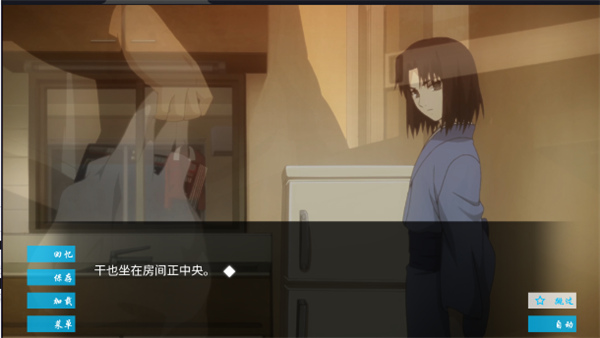空之境界存档版